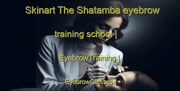 Skinart The Shatamba eyebrow training school | EyebrowTraining | EyebrowClasses | SkinartTraining-the Democratic Republic of the Congo
